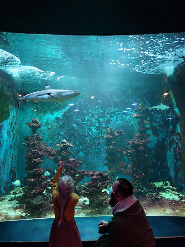 aquarium-museum.uliege.be