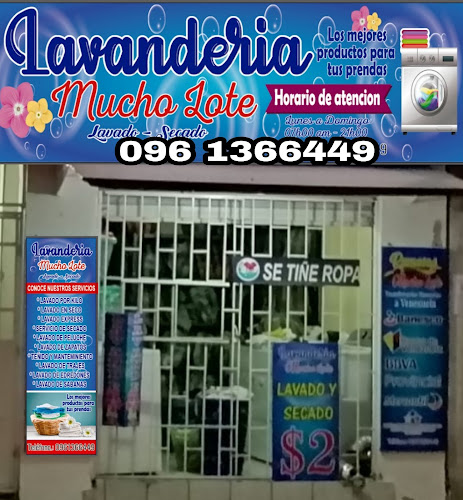 Opiniones de Lavanderia Mucho Lote en Guayaquil - Lavandería