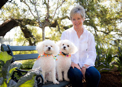 Animal Medical Center of the Lowcountry