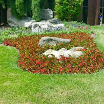 Hedges Landscaping LLC - Photo 7 - Car repair in , Louisville