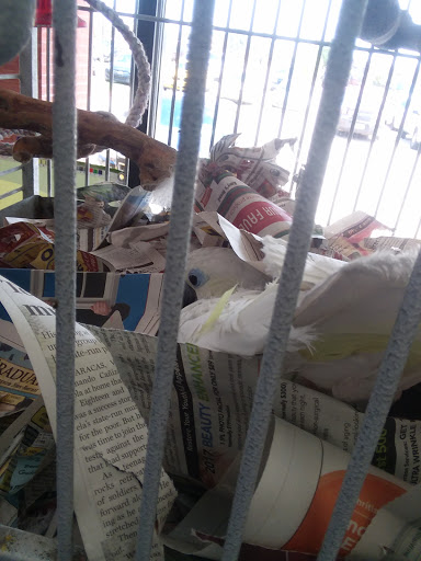 Pet Store «Wet Pets N Critters», reviews and photos, 103 TX-281 Loop, Longview, TX 75605, USA