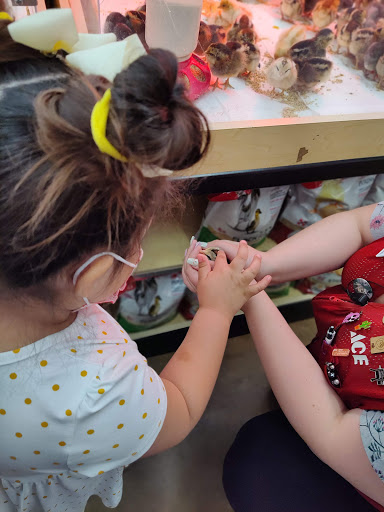 Hardware Store «Cypress Ace Hardware», reviews and photos, 11655 Jones Rd, Houston, TX 77070, USA