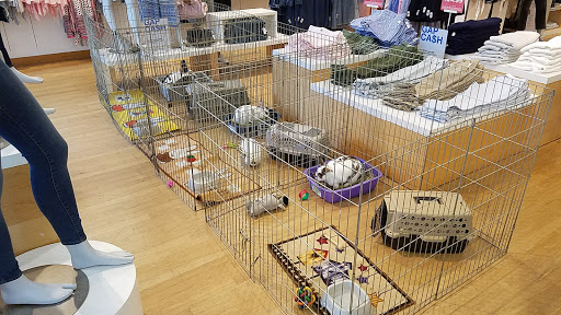 Clothing Store «Gap», reviews and photos, 400 S Park Ave, Winter Park, FL 32789, USA