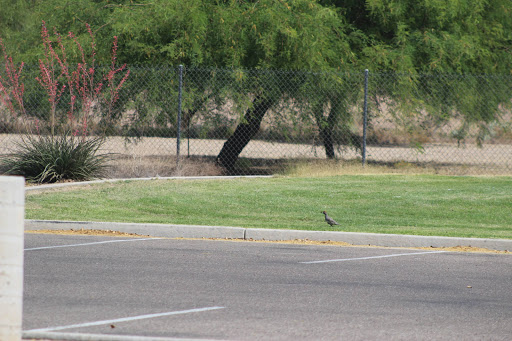 Community Center «Pecos Community Center», reviews and photos, 17010 S 48th St, Phoenix, AZ 85048, USA