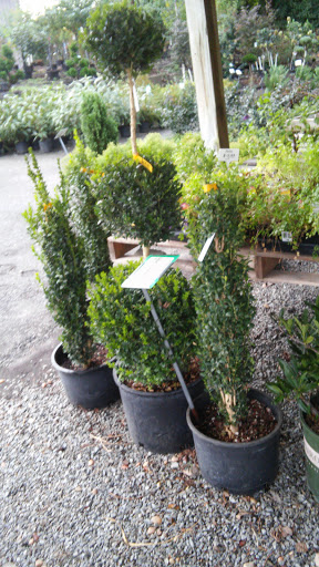 Garden Center «Frank Otte Nursery & Garden», reviews and photos, 7505 River Rd, Prospect, KY 40059, USA