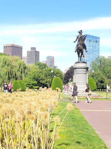Parks for picnics in Boston