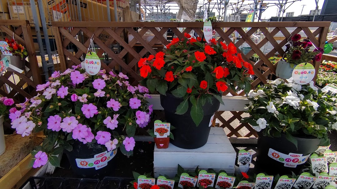 ジョイフル本田ガデンセンタ市原店 市内で市原市