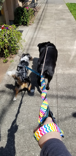 Pet Supply Store «Sellwood Pet Supply», reviews and photos, 8334 SE 17th Ave, Portland, OR 97202, USA