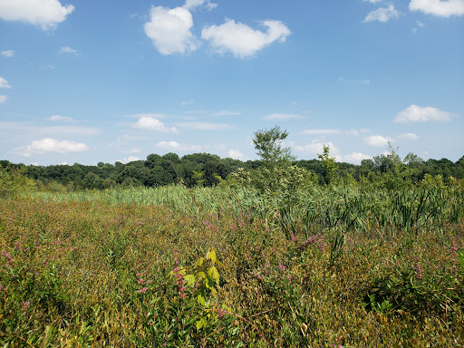 Nature Preserve «Mud Lake Bog Nature Preserve», reviews and photos, 905 E Elm Valley Rd, Buchanan, MI 49107, USA