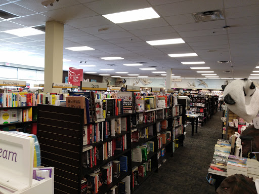 Book Store «Books-A-Million», reviews and photos, 1060 S Amity Rd, Conway, AR 72032, USA