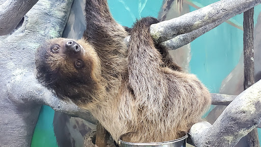 Pet Store «Incredible Pets Inc», reviews and photos, 2255 N Wickham Rd # 102, Melbourne, FL 32935, USA