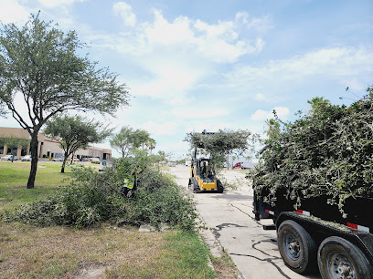 Juan Palmas Tree Service Stump grinding