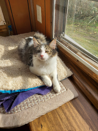 2616 Erie Blvd E, Syracuse, NY 13224, USA