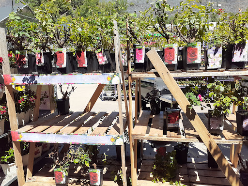 Home Improvement Store «The Home Depot», reviews and photos, 600 Terry Rich Blvd, St Clair, PA 17970, USA