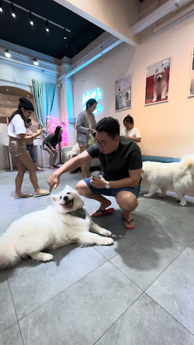 Ratings and reviews of Snow Pawttage