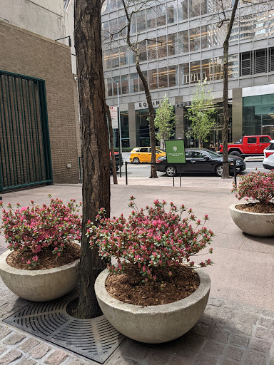 Park «Paley Park», reviews and photos, 3 E 53rd St, New York, NY 10022, USA