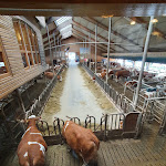 Photo n°1 de l'avis de KS-Service.a fait le 10/07/2022 à 18:20 sur le  Kuhstallcafe Illkofen à Beratzhausen