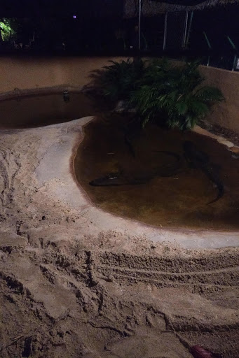 Sightseeing Tour Agency «Jungle Queen Riverboat», reviews and photos, 801 Seabreeze Blvd, Fort Lauderdale, FL 33316, USA