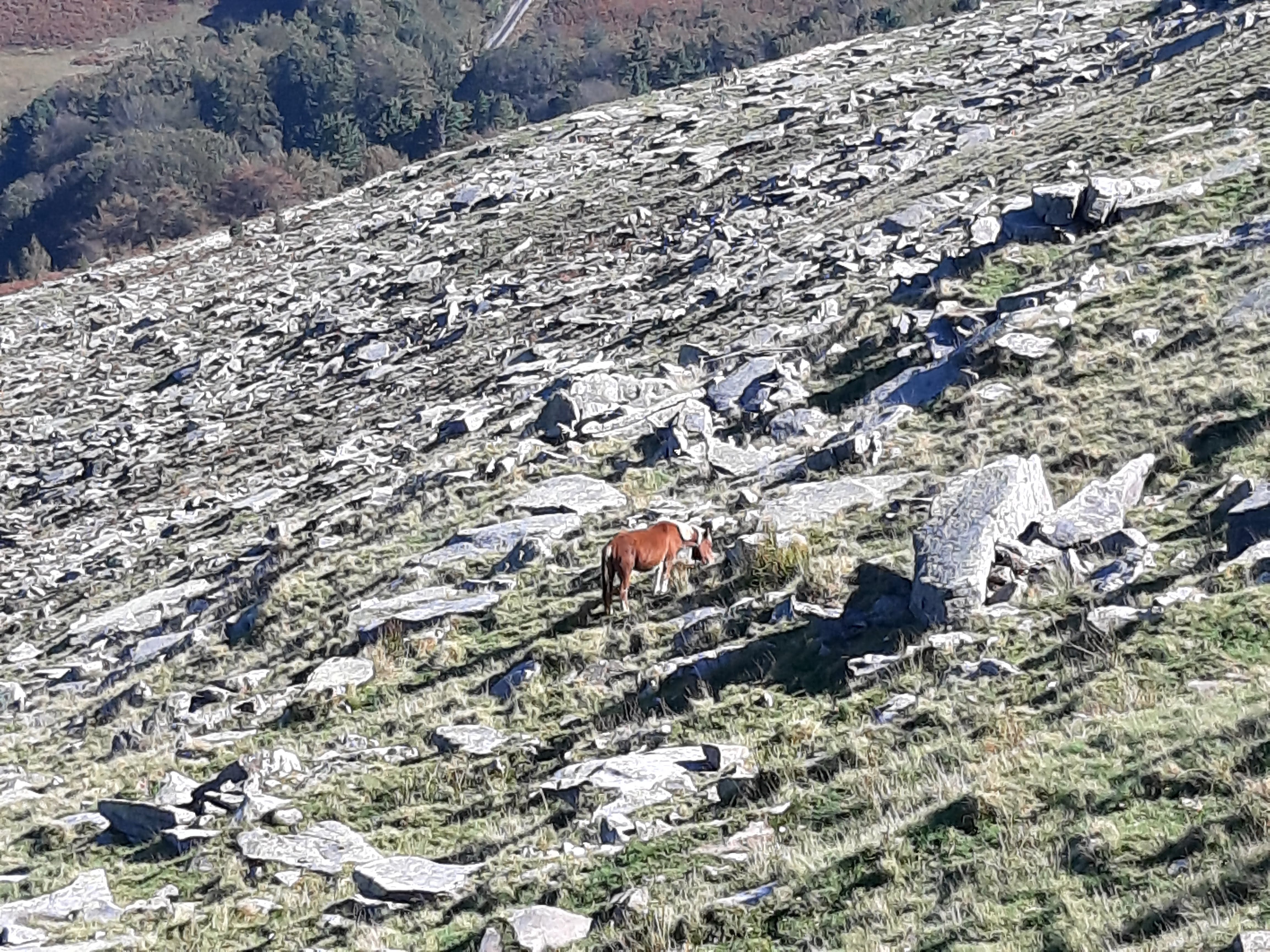 Photo n° 5 de l'avis de France.a fait le 11/10/2023 à 19:09