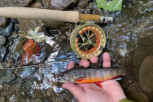 Fightmaster Fly Fishing image