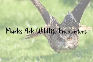 Mark's Ark Wildlife Encounters image