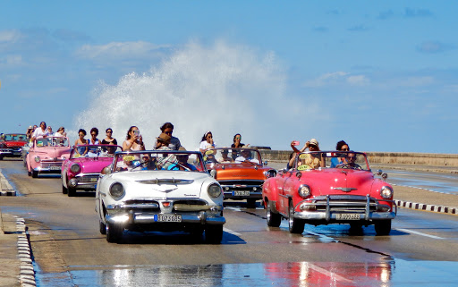 Fishing Store «Albemarle Angler», reviews and photos, 1129 Emmet St N, Charlottesville, VA 22903, USA