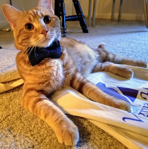 Pet Supply Store «PetSmart», reviews and photos, 310 N White Horse Pike, Lawnside, NJ 08045, USA