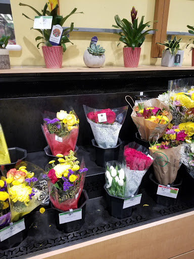 Drug Store «Walgreens», reviews and photos, 1490 Rock Springs Rd, Apopka, FL 32712, USA