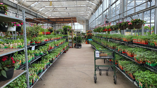 Stein's Garden & Home