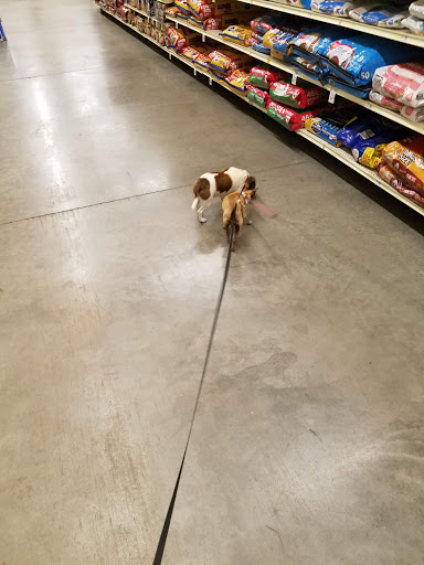 Pet Supply Store «PetSmart», reviews and photos, 215 N Burkhardt Rd, Evansville, IN 47715, USA