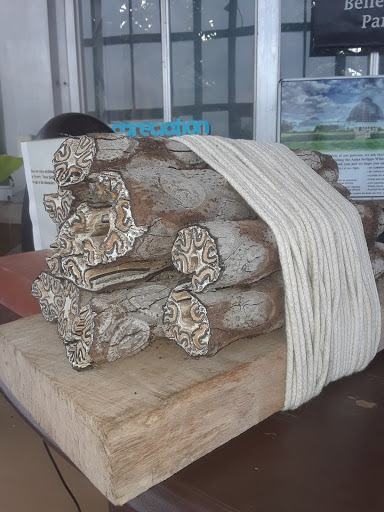 Tourist Attraction «Anna Scripps Whitcomb Conservatory», reviews and photos, 900 Inselruhe Ave, Detroit, MI 48207, USA