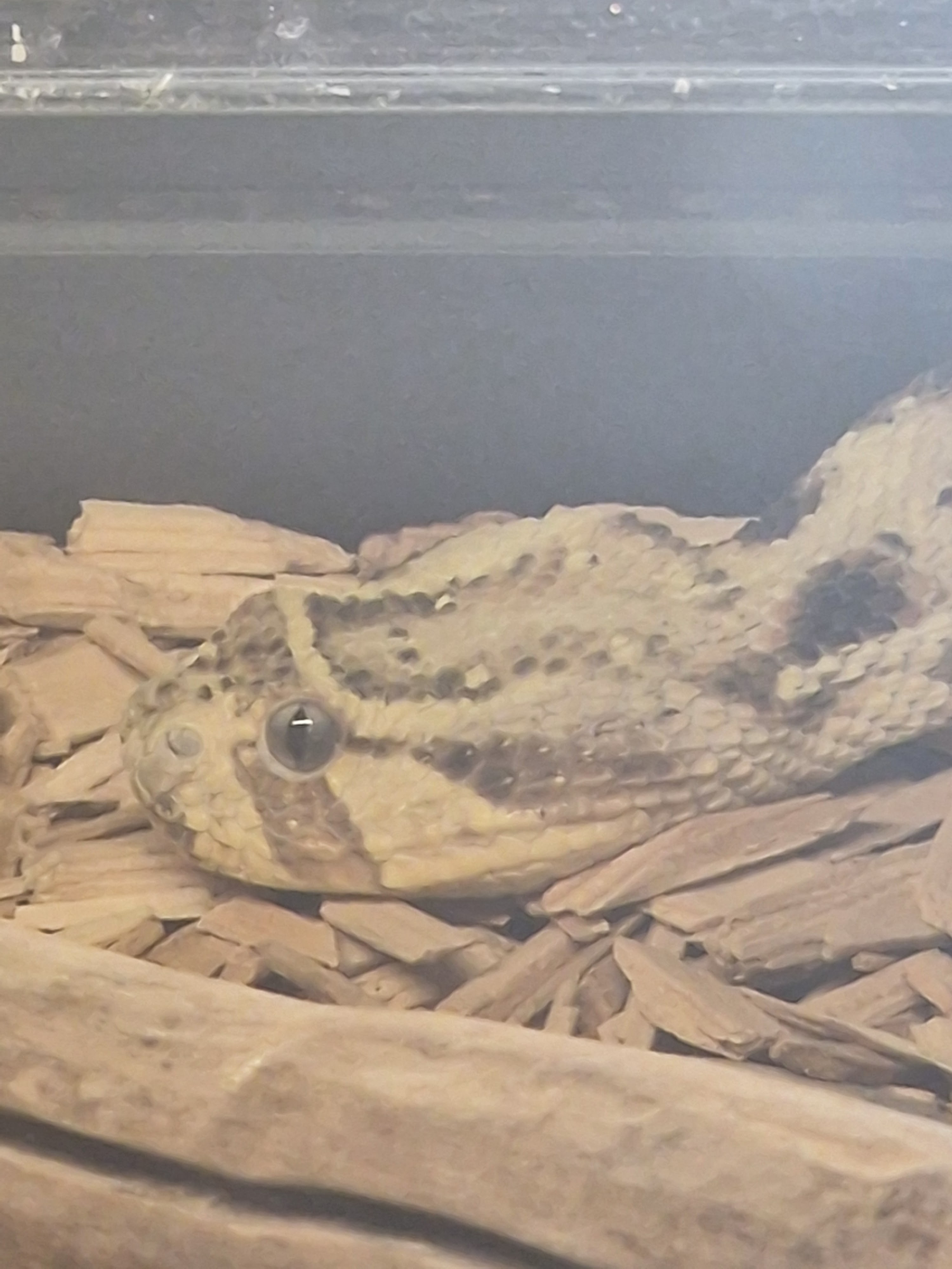 Photo n° 2 de l'avis de Stephane.E fait le 04/05/2024 à 10:29