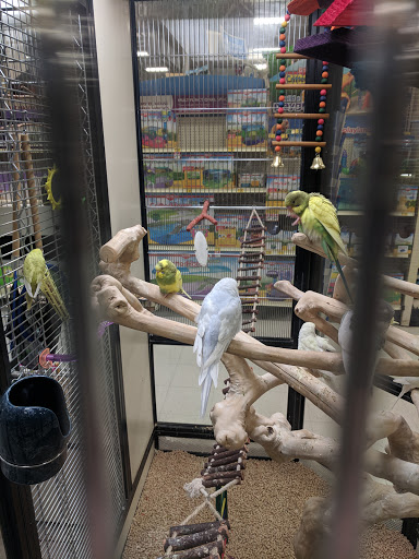 Pet Supply Store «Petco Animal Supplies», reviews and photos, 861 Williston Rd, South Burlington, VT 05403, USA