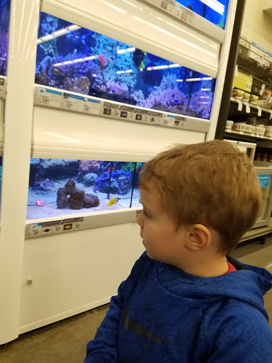 Pet Supply Store «Petco Animal Supplies», reviews and photos, 2687 Countryside Dr, Turlock, CA 95380, USA