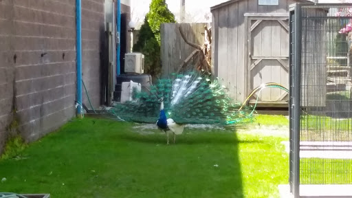 Zoo «Cape May County Park & Zoo», reviews and photos, 707 U.S. 9, Cape May Court House, NJ 08210, USA