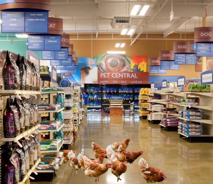 Pet Supply Store «PetSmart», reviews and photos, 79375 CA-111, La Quinta, CA 92253, USA