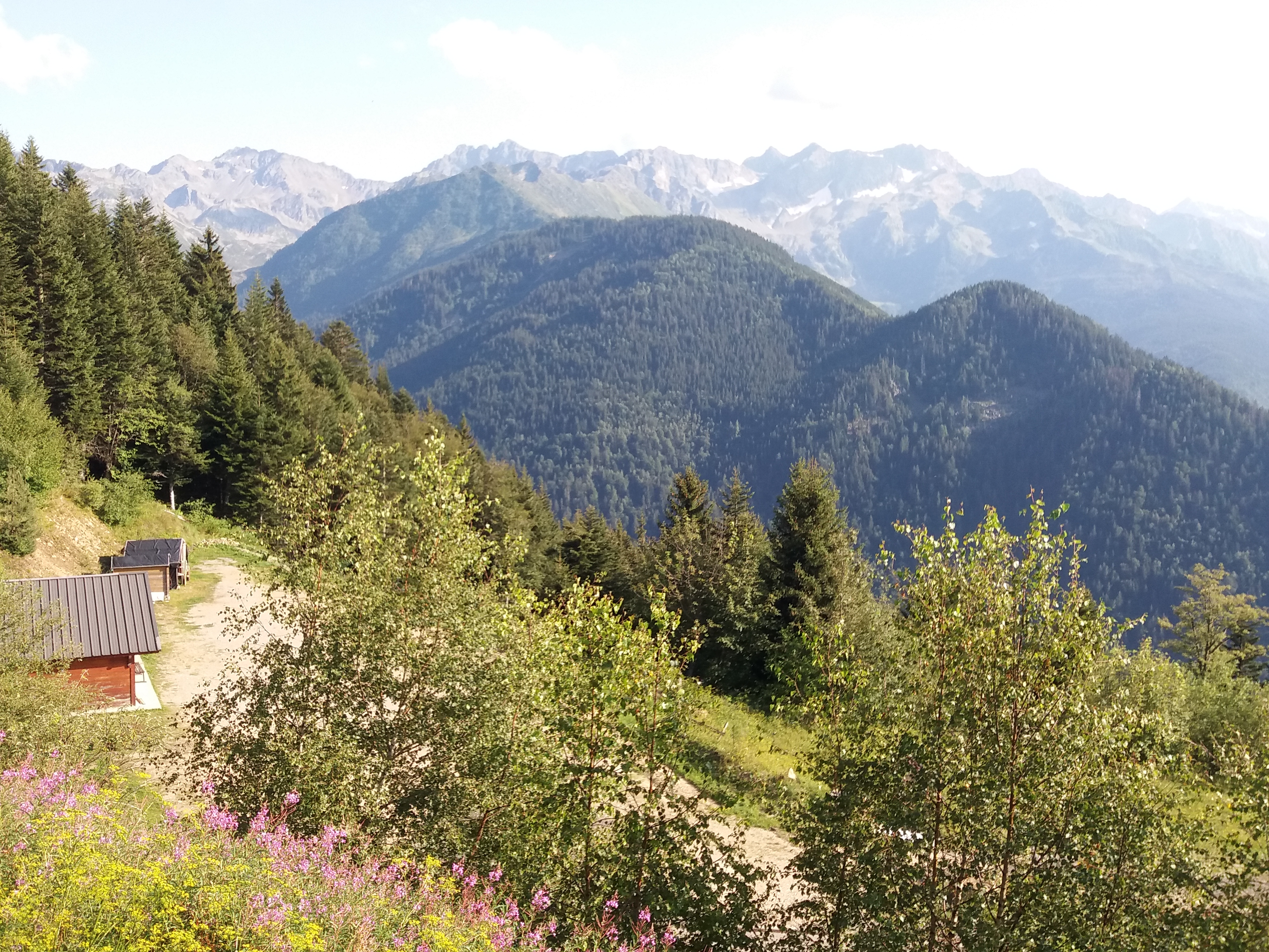 Photo n° 1 de l'avis de Pierre.e fait le 16/07/2018 à 10:32