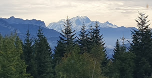 Photo n°39 de Restaurant du Col du Granier à Apremont ()