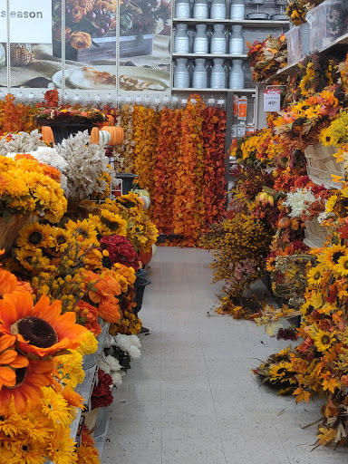 Craft Store «Michaels», reviews and photos, 1205 Coolidge Hwy, Troy, MI 48084, USA