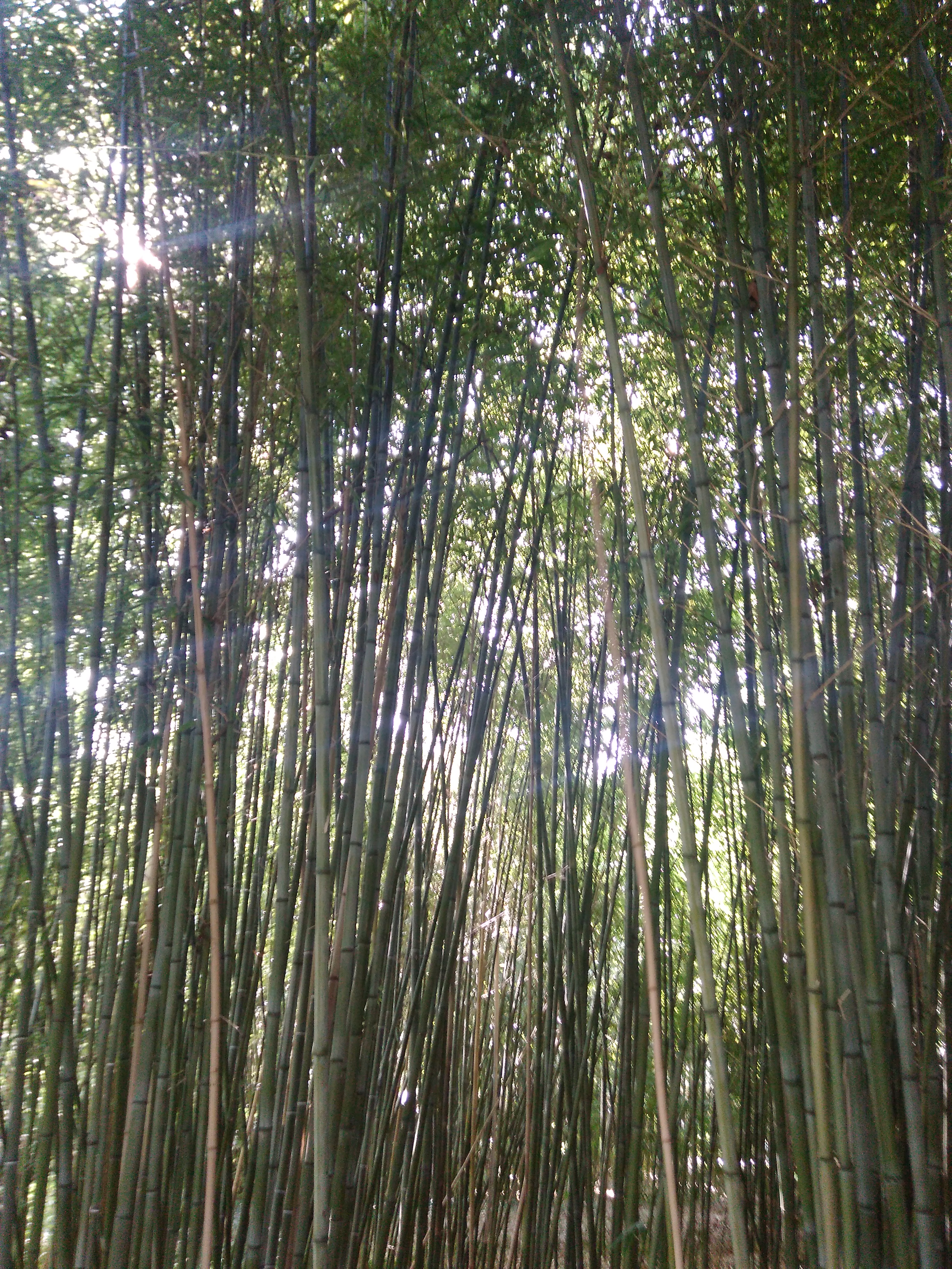 Photo n° 10 de l'avis de Nicolas.a fait le 08/04/2017 à 14:08