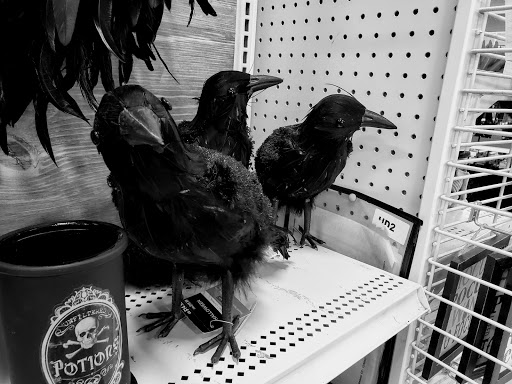 Craft Store «Michaels», reviews and photos, 2766 W Peoria Ave, Phoenix, AZ 85029, USA