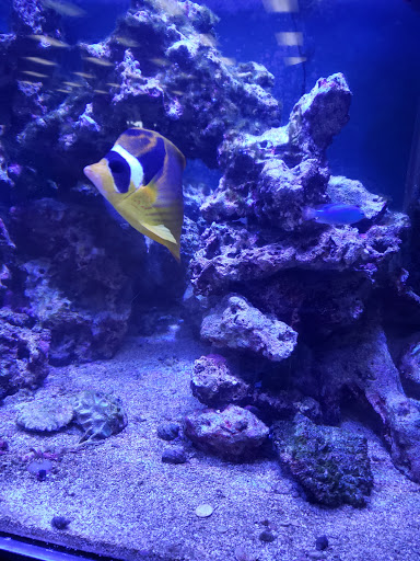 Pet Supply Store «Iowa Pet Foods & Seascapes», reviews and photos, 1500 22nd St, West Des Moines, IA 50266, USA