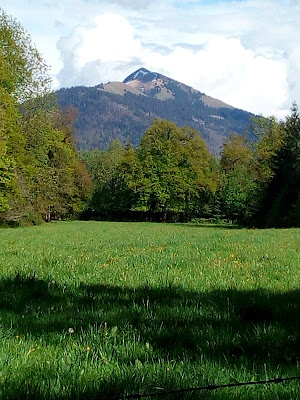 Maisonnée (La) à Fillinges