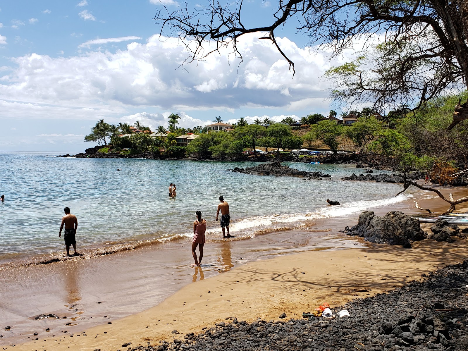 Makena Landing Beach'in fotoğrafı doğal alan içinde bulunmaktadır