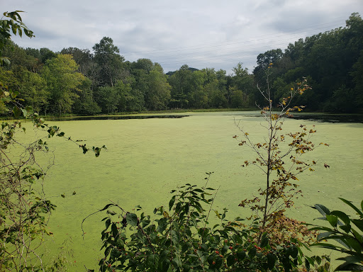 State Park «Radnor Lake State Park», reviews and photos, 1160 Otter Creek Rd, Nashville, TN 37220, USA