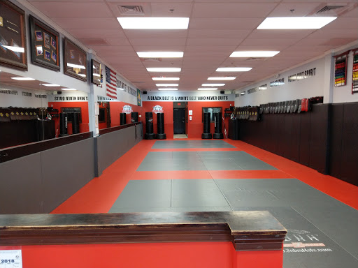 Martial Arts School «Team Nogueira Wald Bloise Martial Arts», reviews and photos, 4580 Donald Ross Rd #105, Palm Beach Gardens, FL 33418, USA