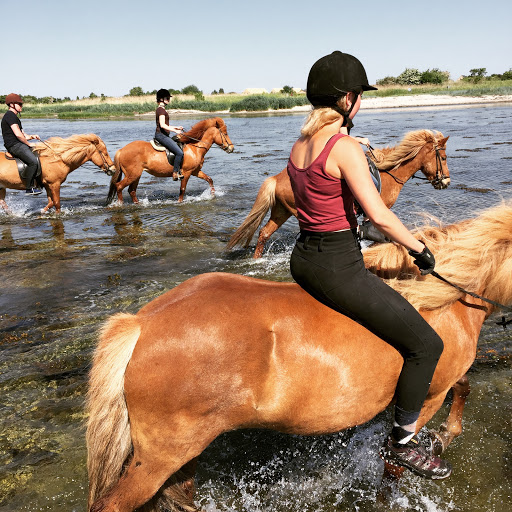 Copenhagen Horseback Riding