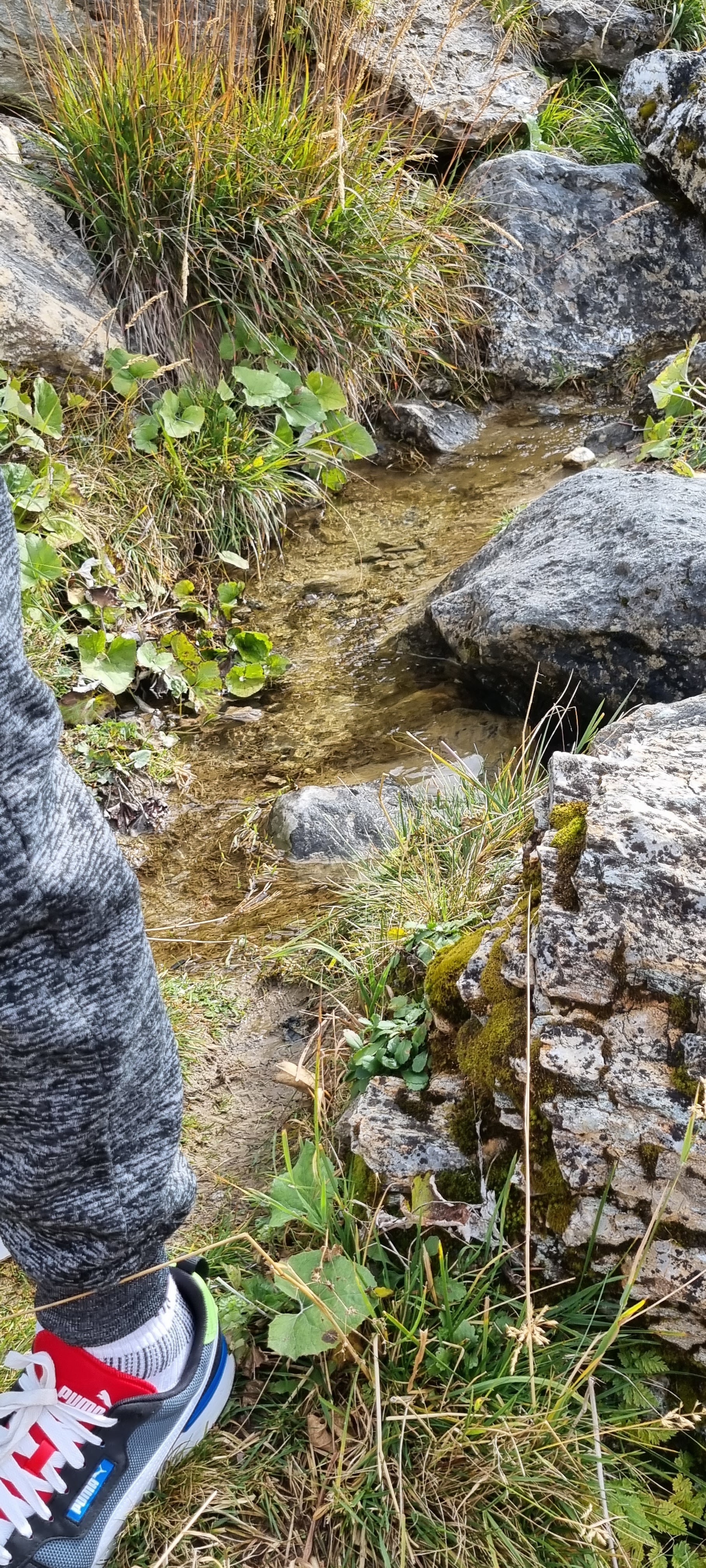 Photo n° 41 de l'avis de Raymond.a fait le 24/10/2023 à 19:44