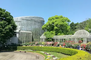 Odawara Flower Garden image