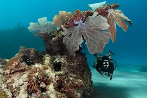 SeaPro Divers - Playa Blanca image